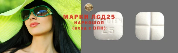 стаф Армянск