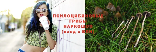 таблы Аркадак