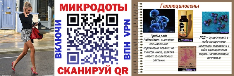 Псилоцибиновые грибы Psilocybe  Купино 